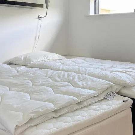 Pilemose Ii Holiday home Skovbyballe